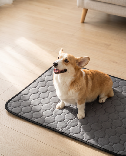 Denwell™ Premium Washable Dog Pee Mat