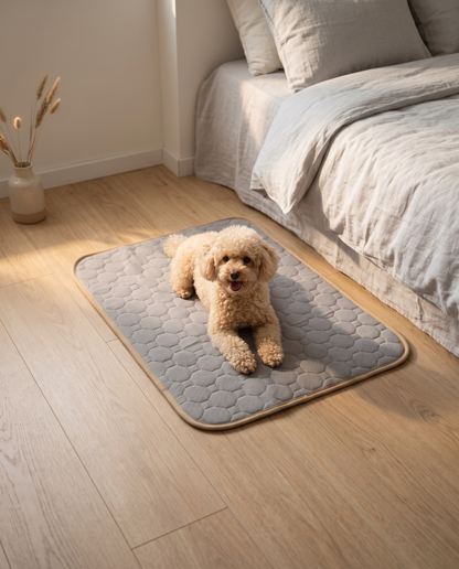 Denwell™ Premium Washable Dog Pee Mat