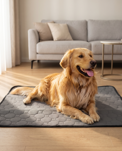 Denwell™ Premium Washable Dog Pee Mat